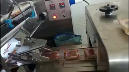 胜龙全自动盒式月饼包装机 高效稳定，引领智能包装新标准